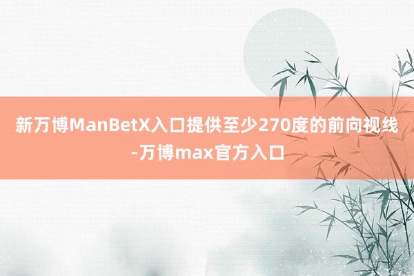 新万博ManBetX入口提供至少270度的前向视线-万博max官方入口