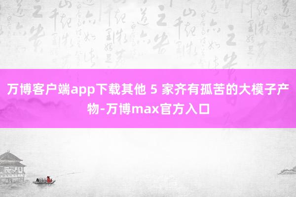 万博客户端app下载其他 5 家齐有孤苦的大模子产物-万博max官方入口