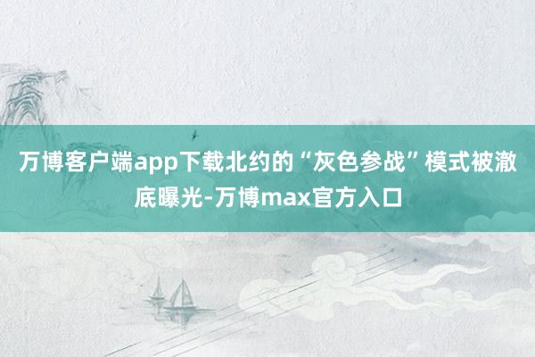 万博客户端app下载北约的“灰色参战”模式被澈底曝光-万博max官方入口